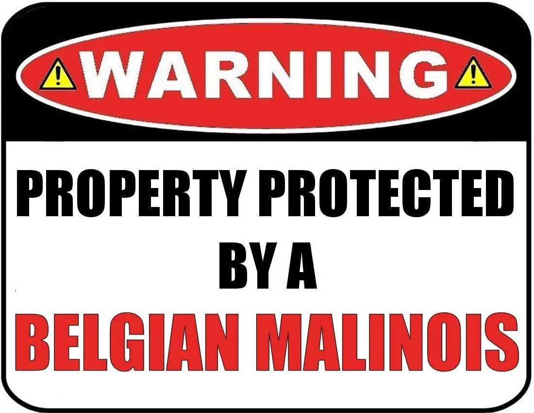 Предупреждение ждающий знак ламинированной собаки защищенный бельгийским