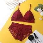 Привлекательный женский комплект нижнего белья с красивой спинкой, прозрачный кружевной бюстгальтер пуш-ап, женский бюстгальтер, комплект нижнего белья с вышивкой
