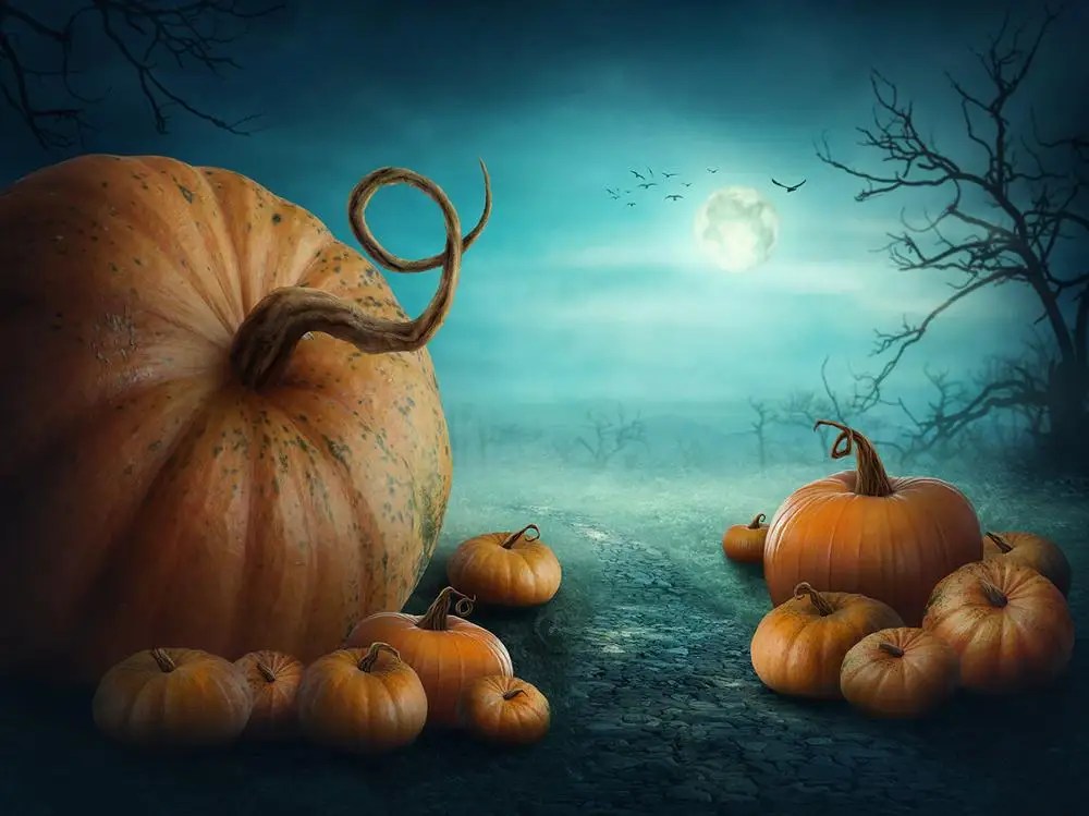 

Halloween Photography Backdrop Mysterious Forest Pumpkin Moon Night Baby Portrait Backdrops Vinyl Background For Photo Studio