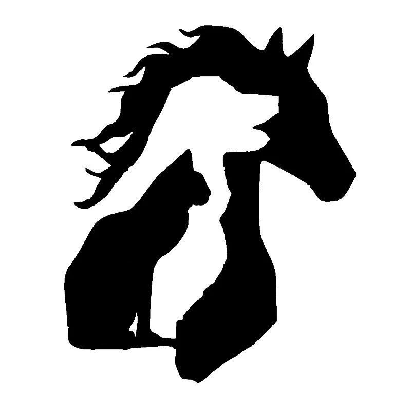 

Funny ANIMAL LOVER Horse Dog Cat Car Sticker PVC Vinyl Decal Funny Cartoon Car Accessories