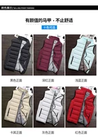 2021 late autumn and early winter new mens down vest cotton jacket all match high neck zipper jacket trend to keep warm