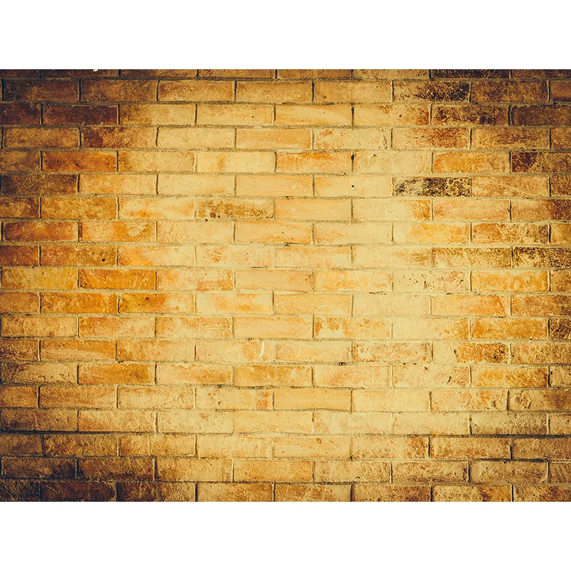 

SHENGYONGBAO Retro Wood Plank Vintage Baby Portrait Photography Backdrops For Photo Studio Background Props 20929FGL-04