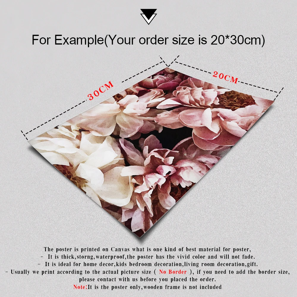 

Fashion Posters and Prints Peony Poster Scandinavian Wall Art Flower Canvas Painting Modern Wall Picture For Living Room Decor