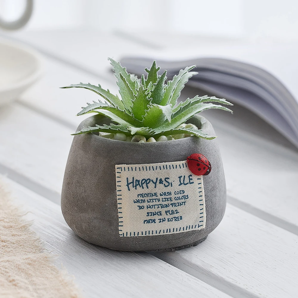 Суккуленты в горшке растения керамика мини бонсай с горшками цемент