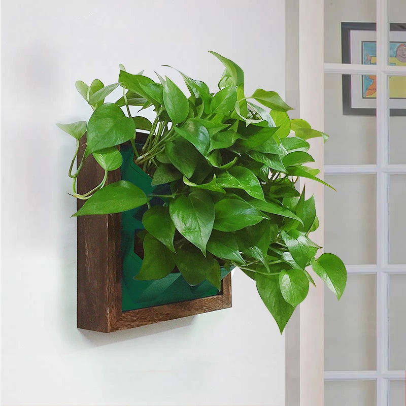 

Домашний сад, суккуленты, настенный цветочный горшок, зеленое искусство, подвесные баскетбольные креативные садовые горшки, аксессуары для...
