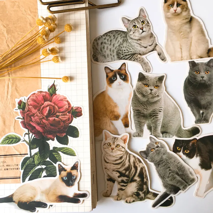 

13 шт. DIY милый кот Стикеры дневник, фотоальбом DIY Стикеры для ноутбука/Кот Стикеры s бумага для скрапбукинга канцелярские принадлежности