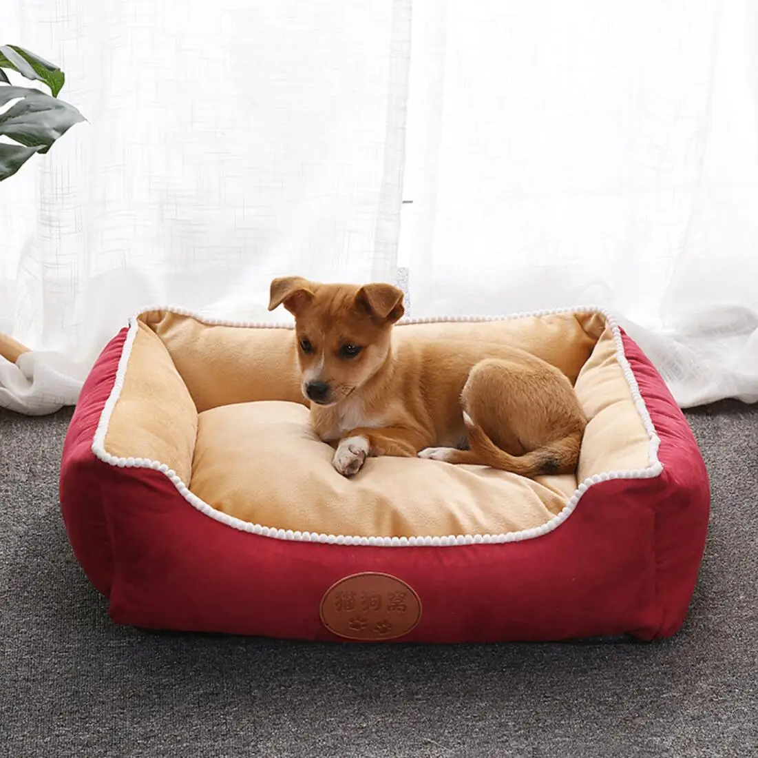 

Cat Bed Teddy Small and Medium Sized Dog's Warm Pet Bed Dog Pad In Winter Dog Bed for Small Medium Dog