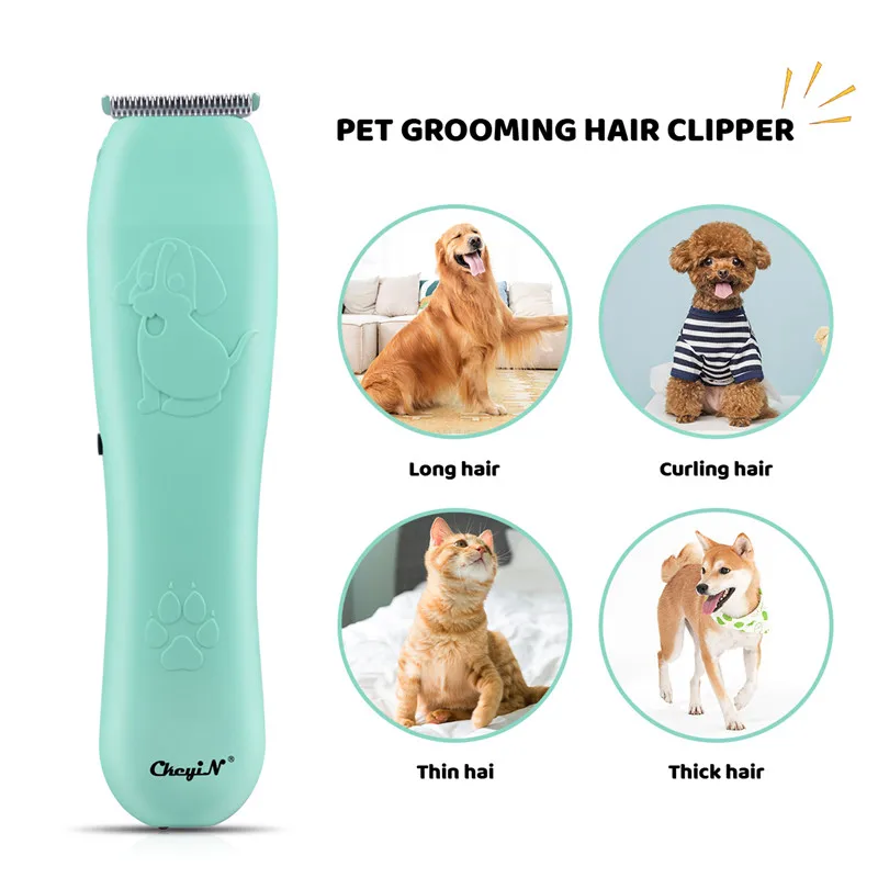 

Personal Care Appliances