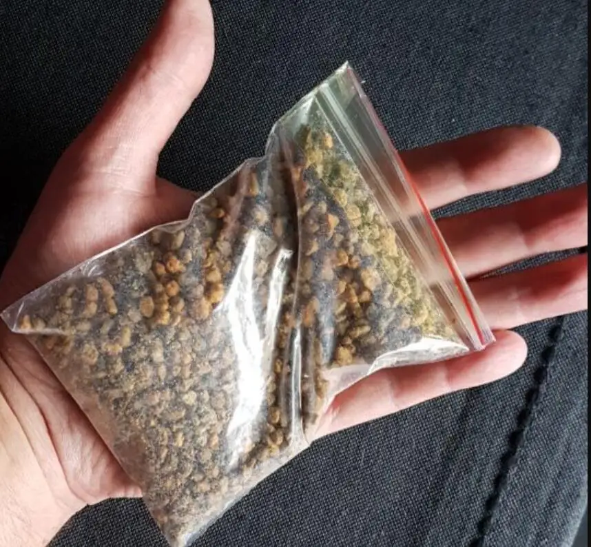 100 г/лот Kiryu песок забавное растение садоводство почва для выращивания мясистых