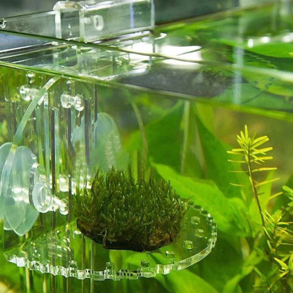 1 шт. аквариумная полка для подложки живых растений прозрачный выступ всех