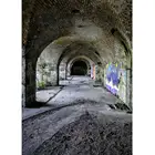 Виниловый фон для детской фотосъемки в стиле ретро с изображением стены арки коридора граффити