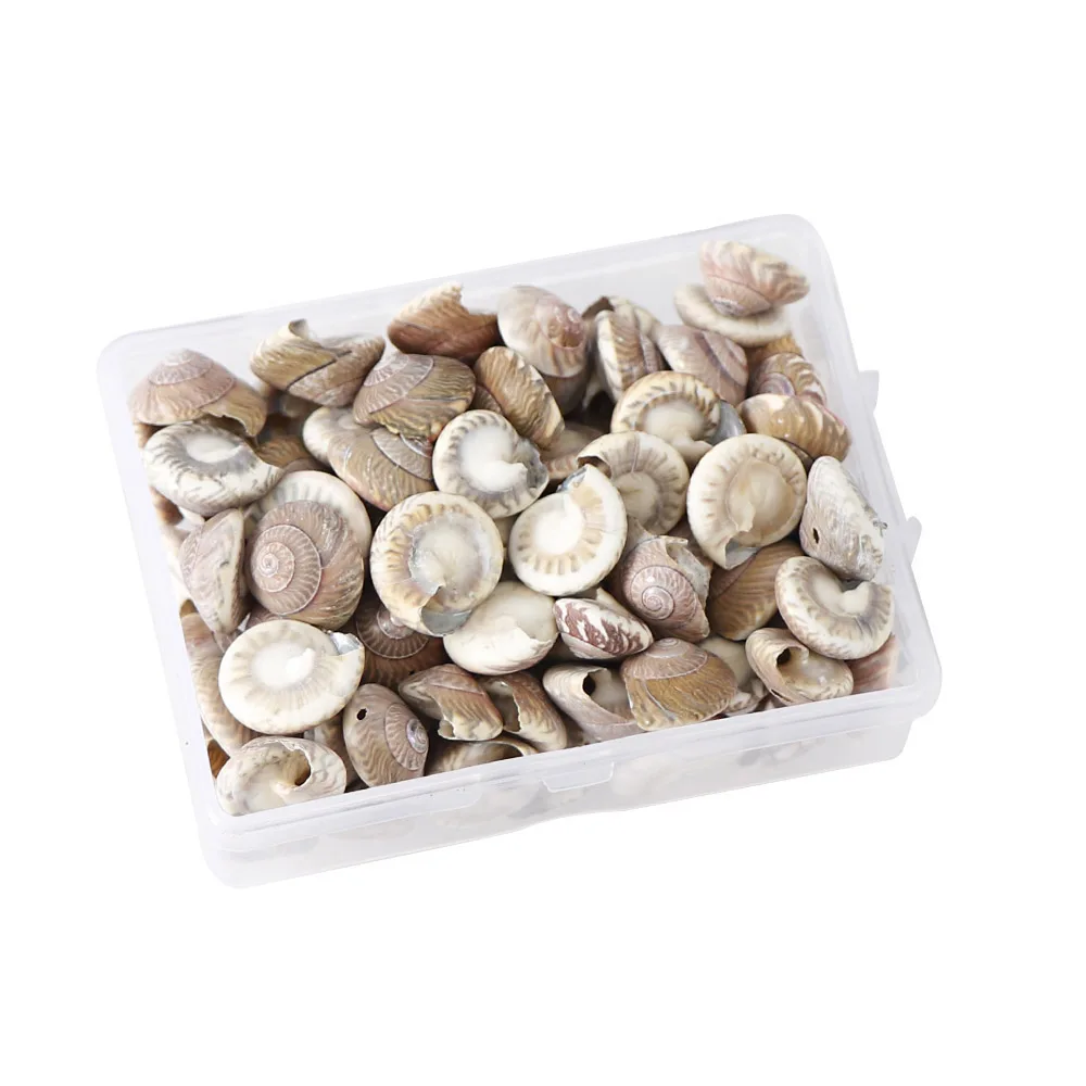 50g 50 г/103 г аквариумный Пляжный Пейзаж природные ракушки украшения DIY смешанные навальные морские раковины ювелирные изделия ремесла Декор стены ногтей оболочки - Цвет: 50g
