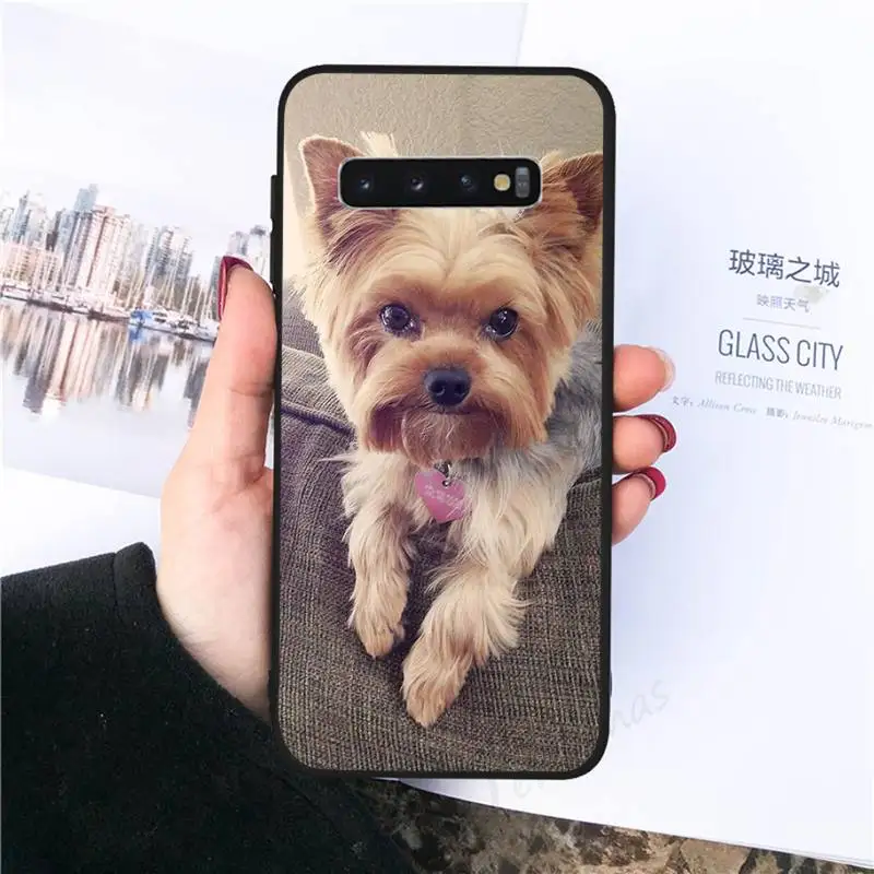 

Mini Yorkshire Terrier Dog Phone Case For Samsung galaxy S 8 9 10 20 21 30 A 30 50 51 70 note 10 plus Ultra 5g