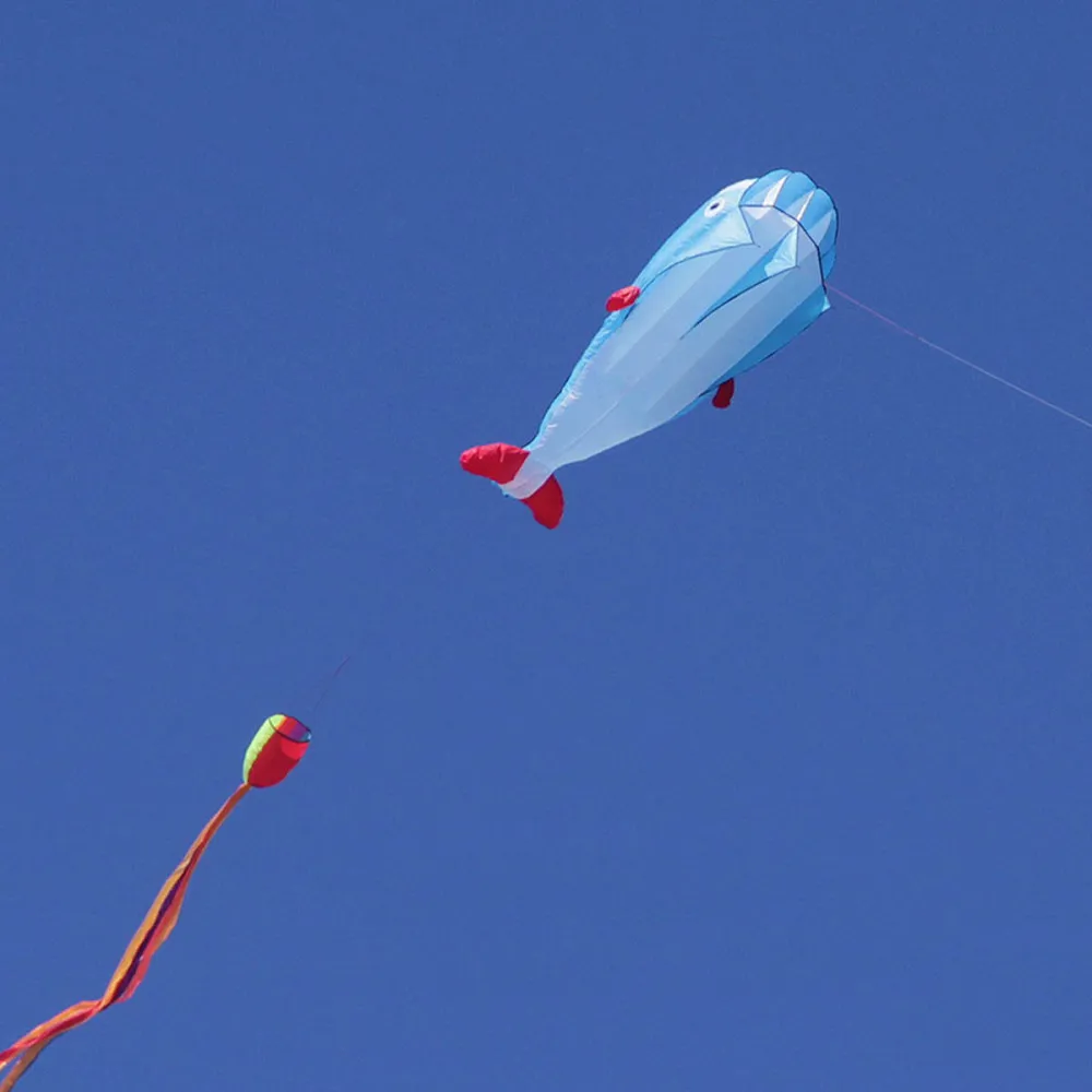 

3D Dolphin Kites Kids Outdoor Fun Square Beach Flying Dolphin Kite Easy To Fly (Blue)