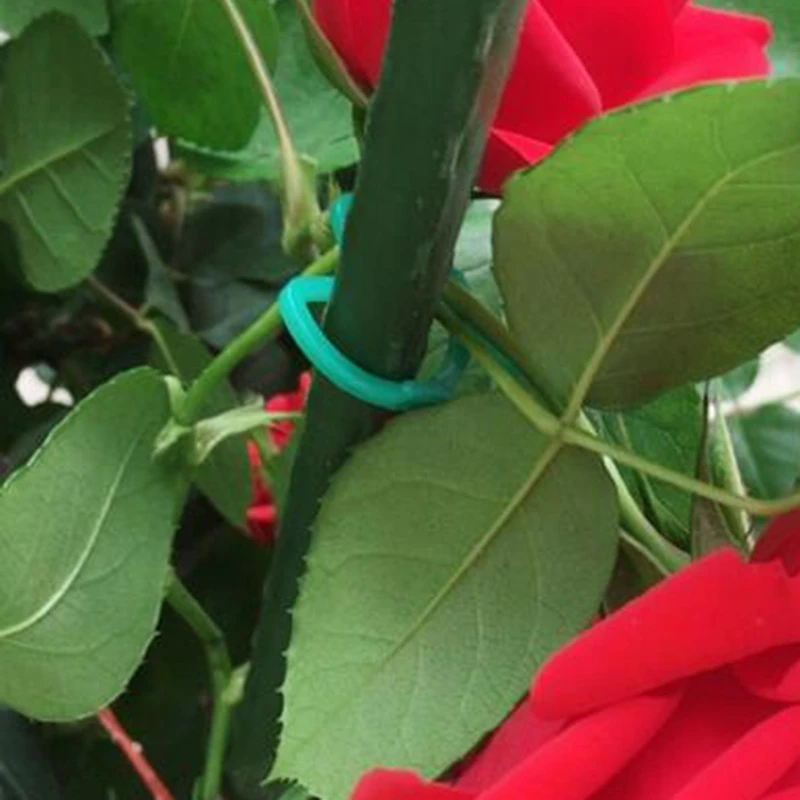 100 шт. кольцевые крепления бабочки фиксирующие соединения цветов и овощей