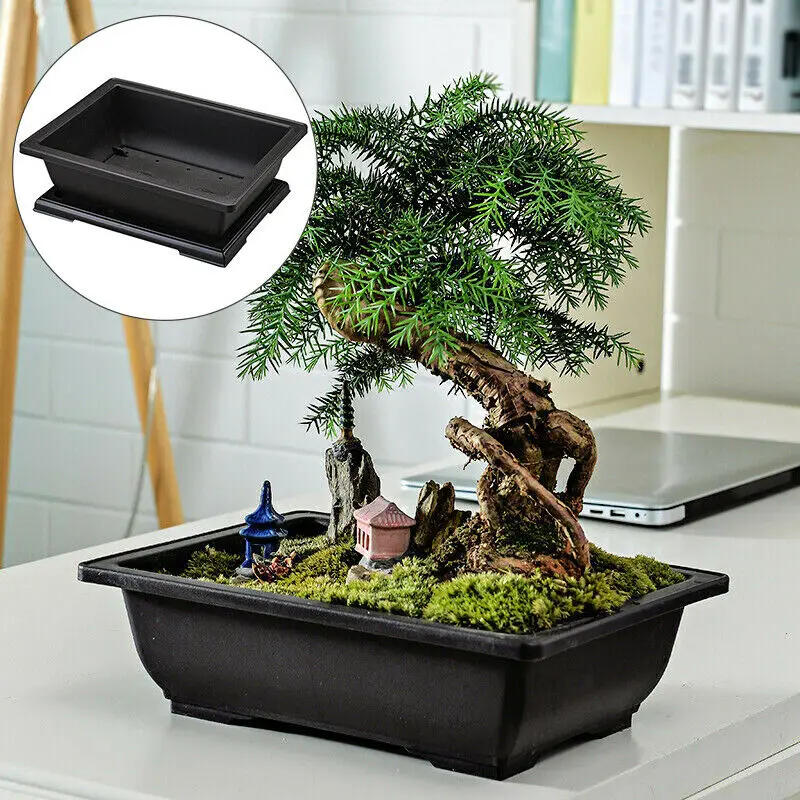 Large Flower Pot Rectangle Bonsai Nursery Planter Balcony Container 29X21X10.5cm | Дом и сад