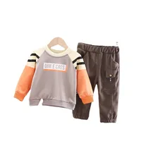 Toddler Kids Clothes Sets 2021 Spring Autumn New Baby Boys and Girls Beauty Casual O-Neck Cotton Two Piece Boutique Cute Outfits