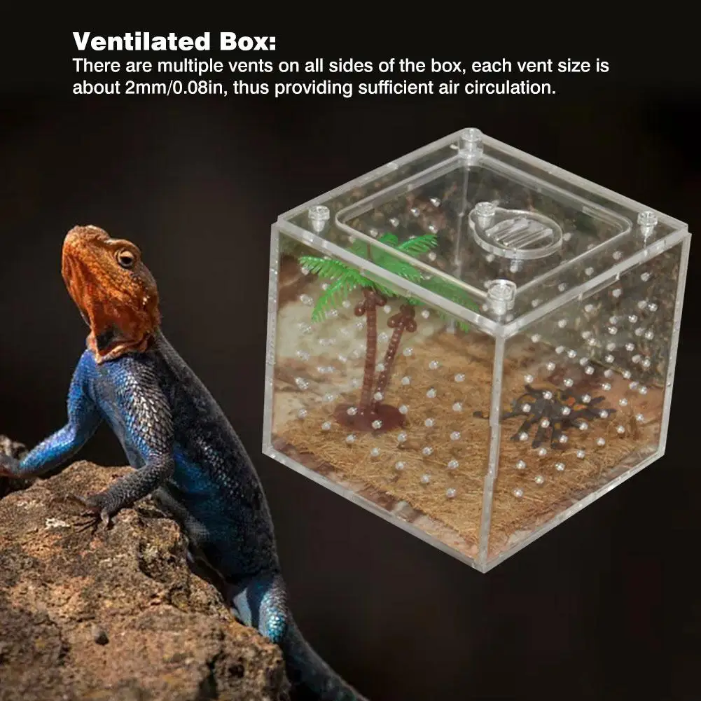 L/S размеры для разведения рептилий коробка прозрачные акриловые Террариум
