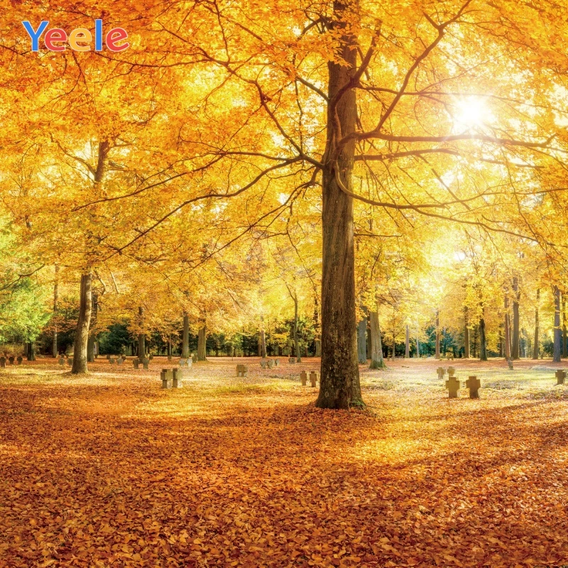 

Yeele Autumn Photocall Maple Forest Sunshing Leaves Photography Backdrops Personalized Photographic Backgrounds For Photo Studio