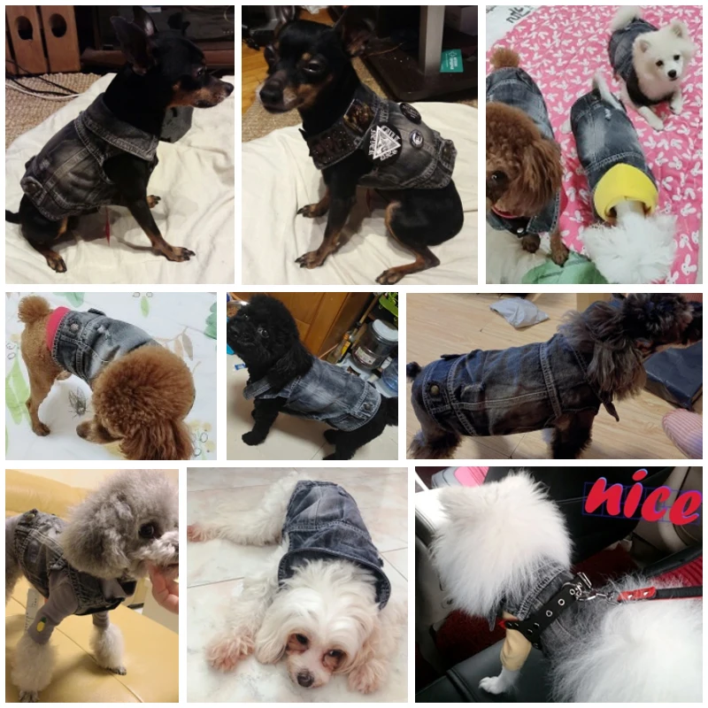Собака Одежда для маленьких собак джинсовая одежда Комбинезоны джинсовый жилет