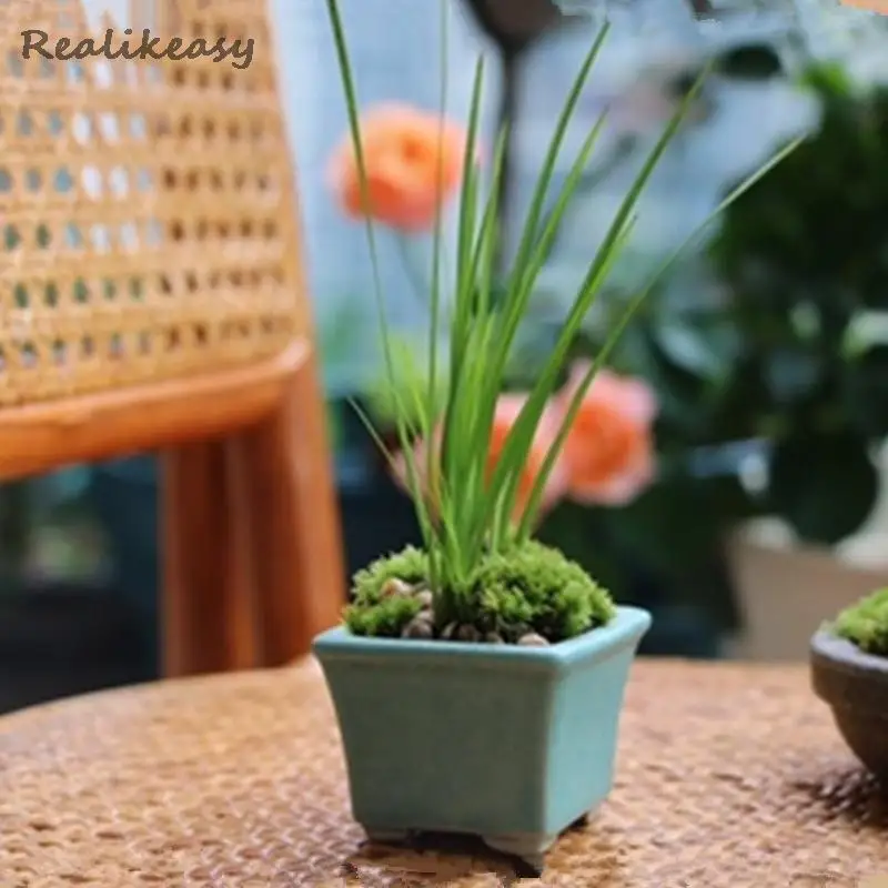 Китайский Фиолетовый Глиняный цветочный горшок керамический бонсай