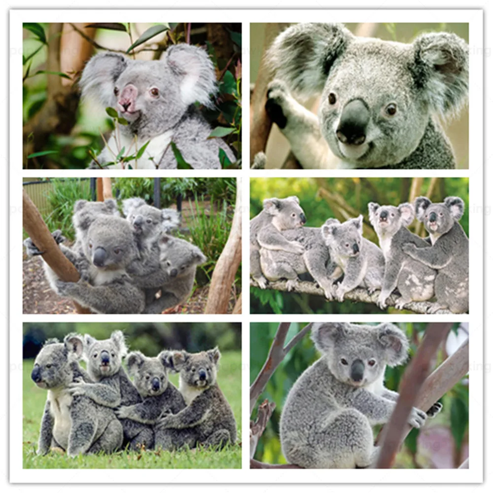 

5D Diy Full Drill Diamond Painting Koala Animal Diamond Embroidery Sale Cross Stitch Kit for Living Home The Wall Decoration Art