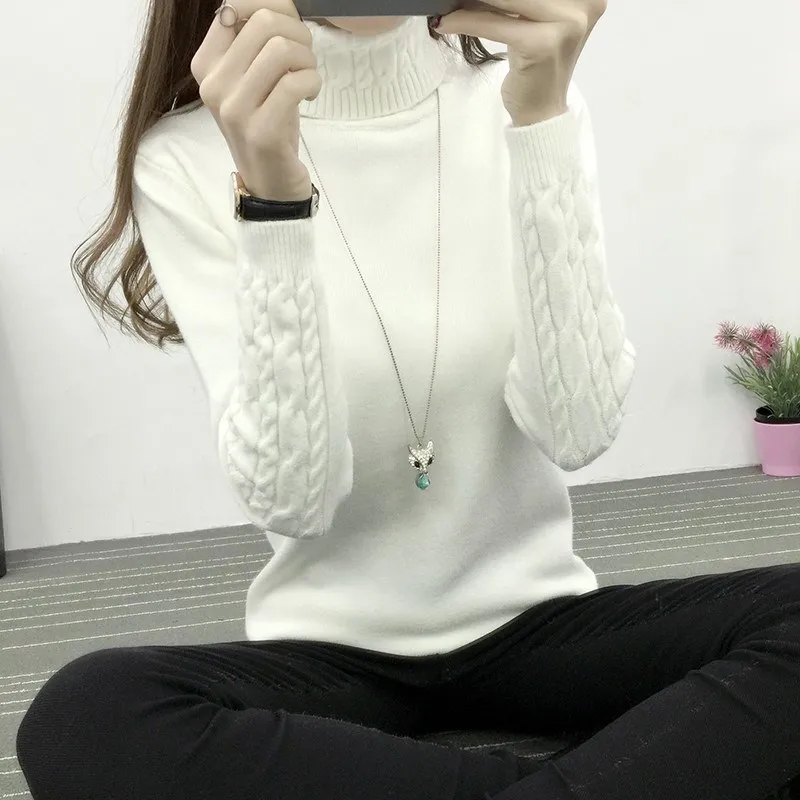 

2021 New Women Turtleneck Pullover Sweater New Hot women Autumn Winter Solid Basic Knitted Sweater Female