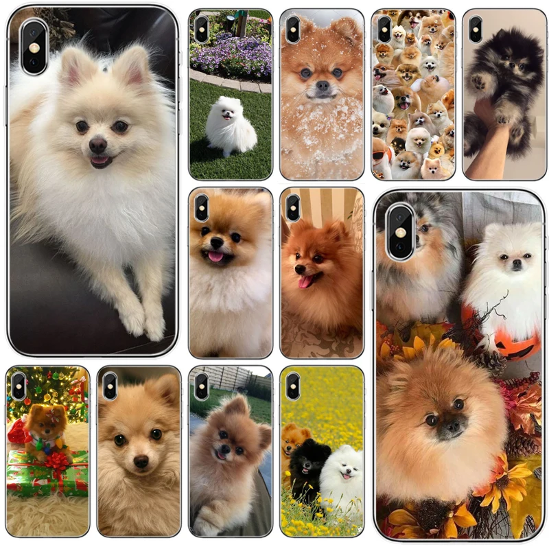 Pomeranian dogs цветной милый мягкий силиконовый чехол для телефона iPhone 11 Pro 7Plus 7 5 6 6S 8 8Plus