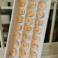 2 3cm21pcsmini preserved grade b roses headsbeauty and the beast forever roserose eternal for giftwedding party decoration