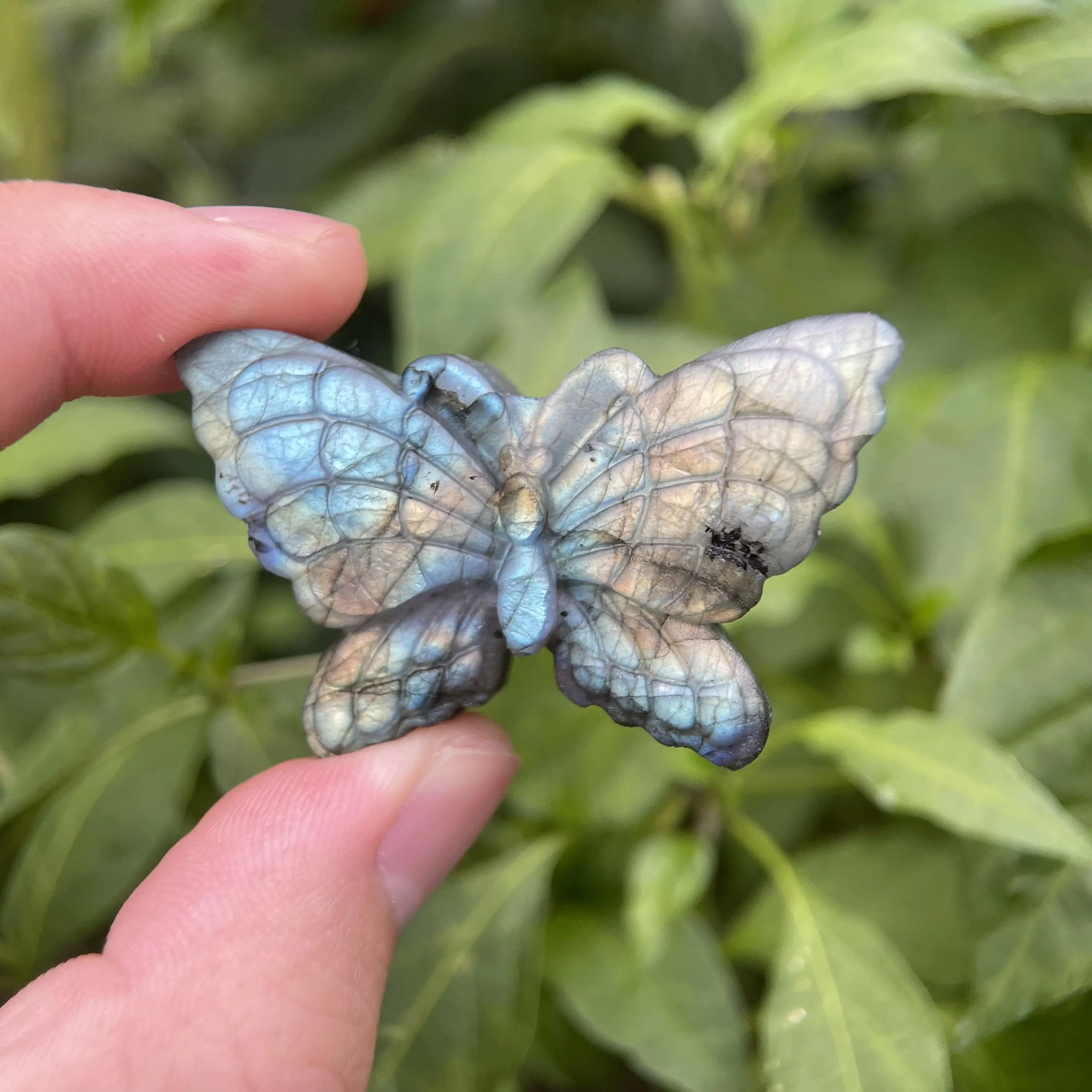 

Natural Flashing Labradorite Butterfly Hand Carved High Quality Crystals Beautiful Gemstone for Home Decoration Collection