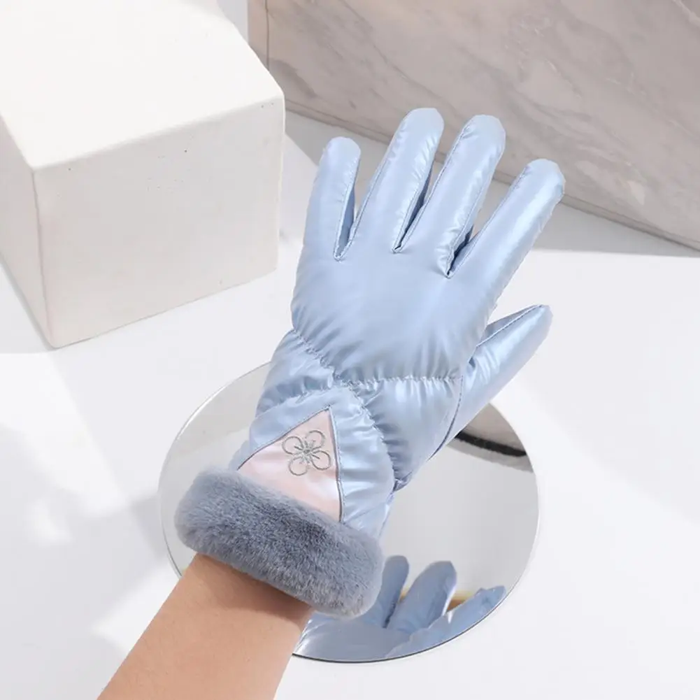 

Lady Gloves Soft Female Gloves Wide Application Plush Lining Practical Fall Winter Cycling Gloves