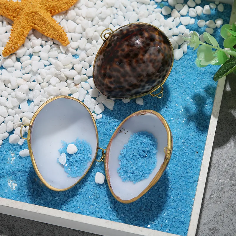 

5 шт., натуральные подарки, шкатулка для ювелирных изделий, раковины, чехол для получения, conchas de mar para bisuteria enfeite para casa decoracao