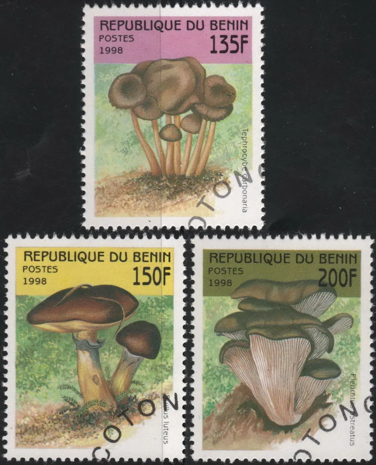 

3 шт./компл. бениновые почтовые штампы 1998, почтовые штампы с маркировкой грибов для коллекционирования