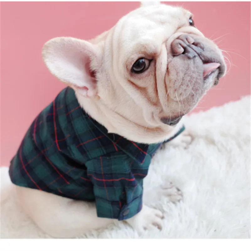 Французская летняя рубашка для собаки бишон померанский шнауцер одежда мопса