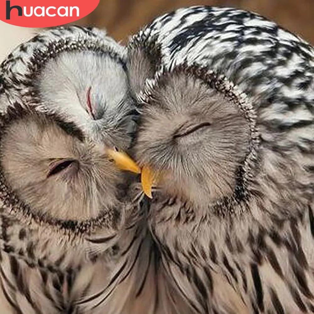 

HUACAN 5d Diy Diamond Painting Full Square New Arrival Diamond Embroidery Owl Diamond Mosaic Display Pictures Of Rhinestones