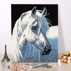 Набор для рисования по номерам на холсте Белая лошадь