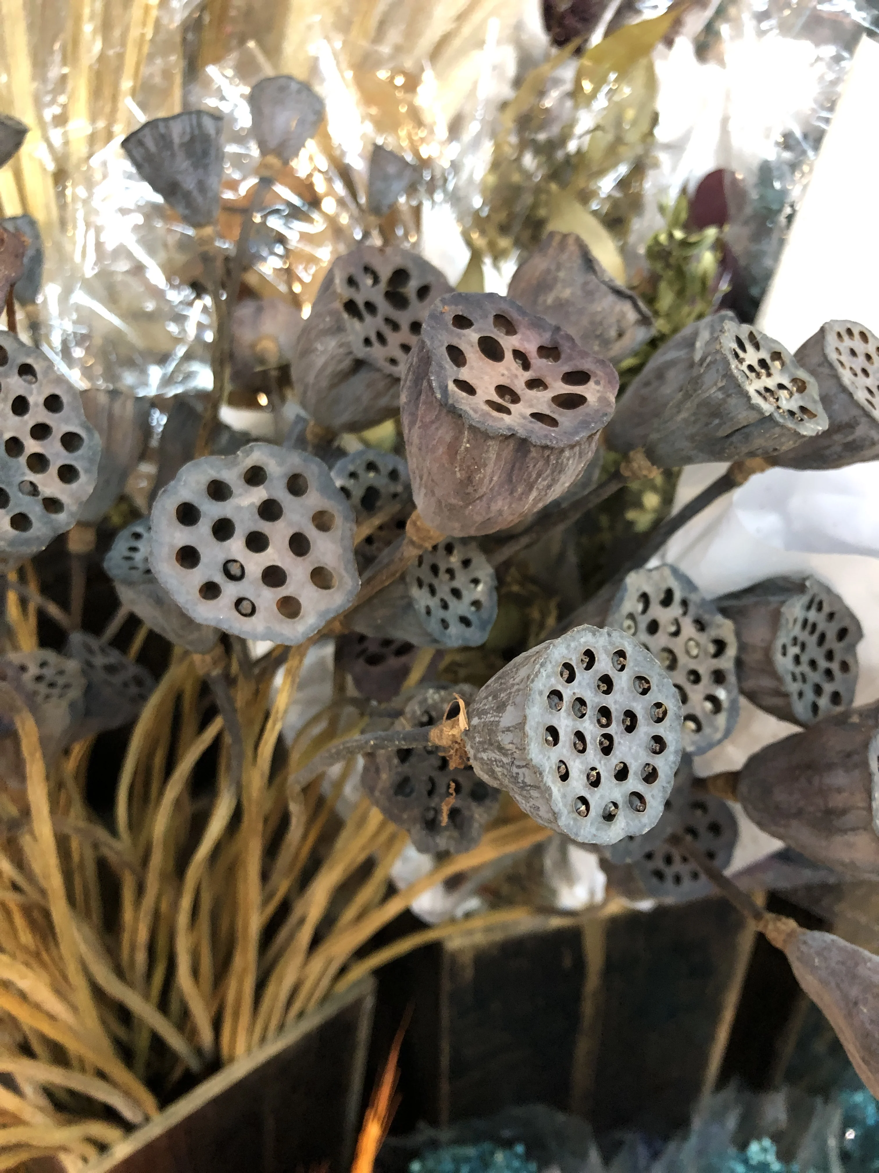 5 шт. сушеные натуральные фрукты лотоса маленькие Сухие растения Lotu для свадьбы