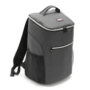 20l backpack cooler bag picnic coolbag thermal insulation bags food backpack thermal bag thermo thermabag refrigerator free global shipping