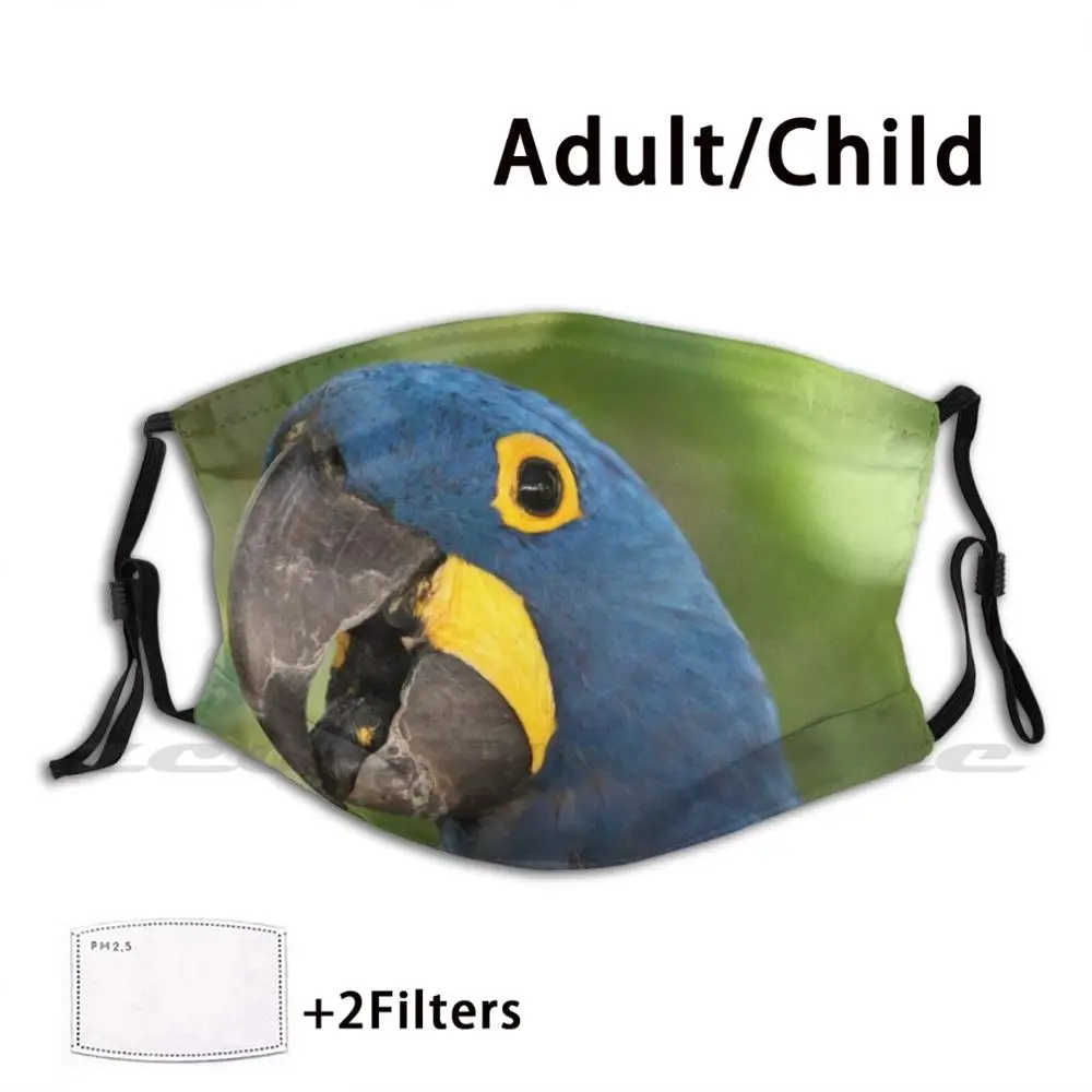 

Hyacinth Macaw Custom Pattern Washable Filter Pm2.5 Adult Kids Mask Macaw Parrot Exotic Bird Blue Hyacinth Wild Tropical Green