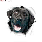 Трехмерная Милая Черная Наклейка для Лабрадора, наклейка для стен, автомобиля, туалета, багажа, скейтборда, ноутбука