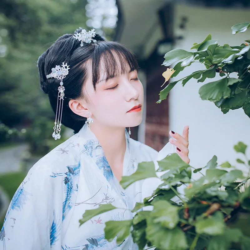 Комплект украшений для волос «QIANJI Hanfu»: серебряные аксессуары с изображением дракона - тиара со слезами и шпилька.