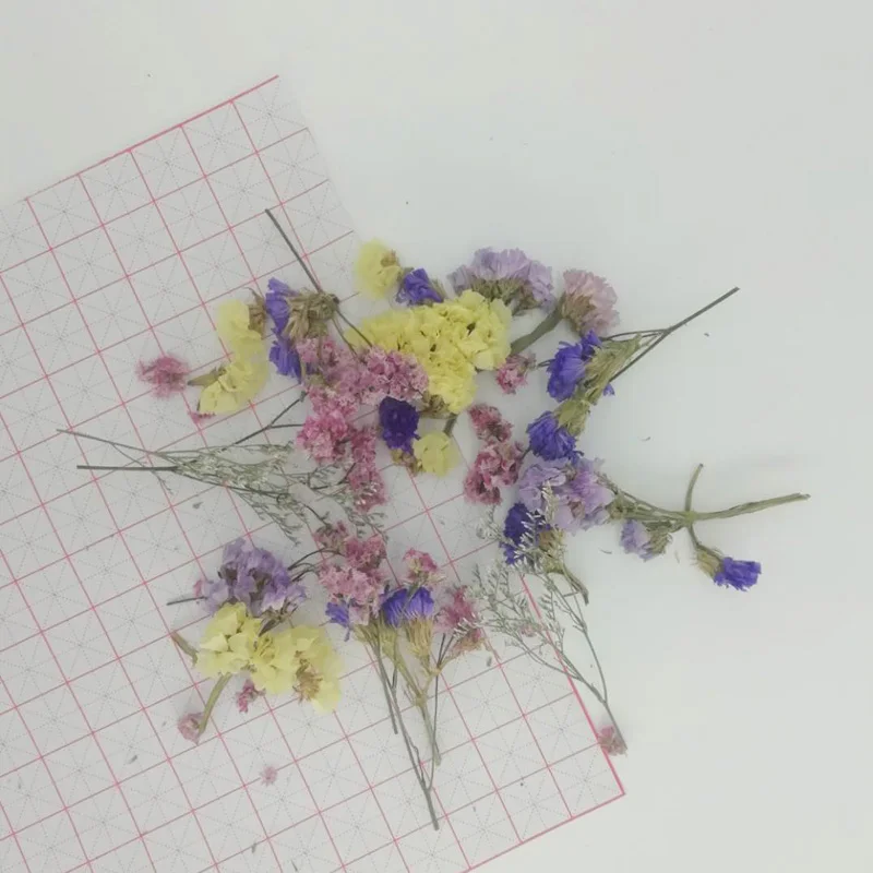 Засушенные цветы для украшений из смолы 5 г/пакет | Дом и сад