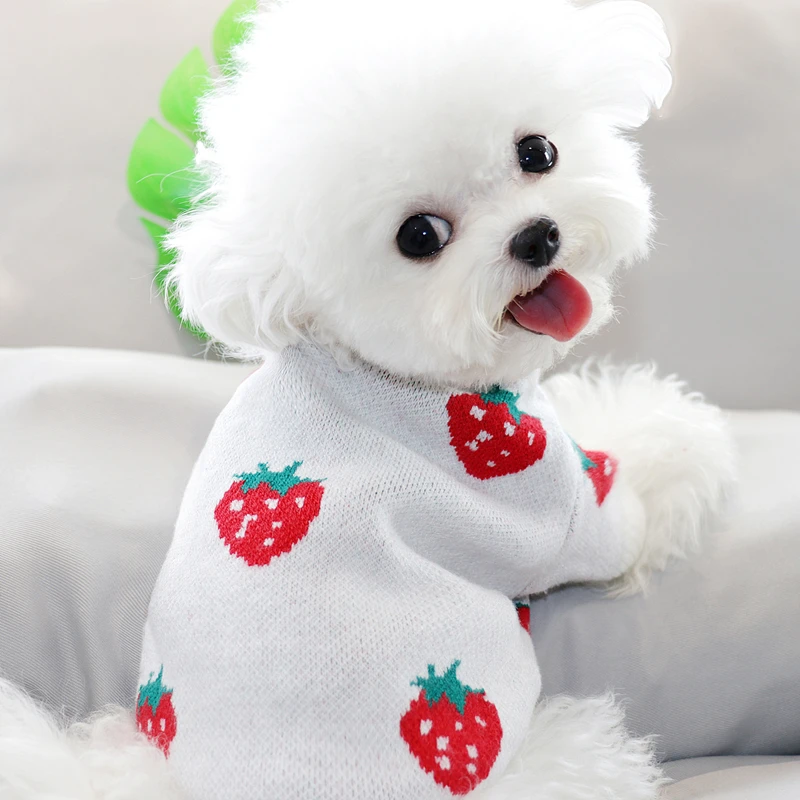 Autumn/Winter Pet Strawberry Print Sweater Small Dog Cat Teddy Bichon Hiromi Schnauzer Yorkshire Poodle Clothes | Дом и сад