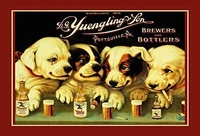 kexle yuengling son ale and beer dogs vintage look custom metal signs 8 x 12 bar cafe yard signs house signs