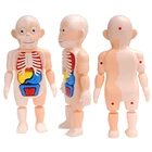 1 Набор Детский развивающий блок пазл обучающая игрушка Анатомия игра доска 3D сделай сам Миниатюрная модель человеческого тела орган пазл игрушка D5QA