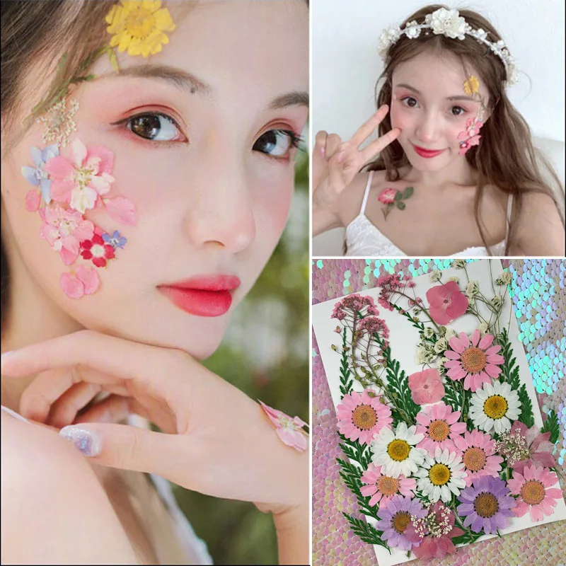 

Behogar Color DIY Preserved Mini Small Dried Pressed Flowers Scrapbooking Dry Decoration Face Home Phone Craft Accessories