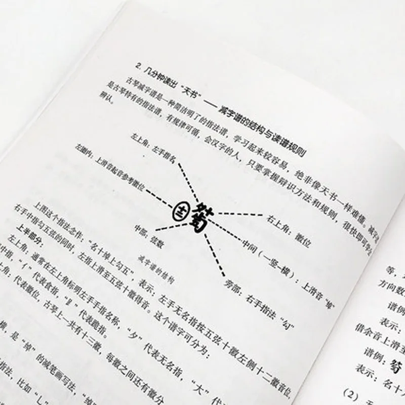 Предварительная информация для взрослых самоучителя Guqin книга начинающих -