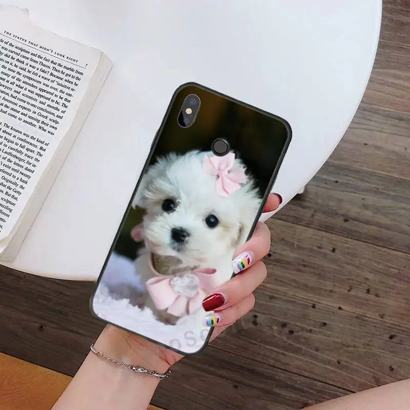 

Cute animal Maltese Dog Puppy Phone Case For Xiaomi Redmi note 7 8 9 t max3 s 10 pro lite Luxury brand shell funda coque
