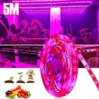 5050 SMD 5 м светодиодный лампа для выращивания, полного спектра светодиодный светодиодная ленсветильник IP33 IP65 DC12V 300 светодиодный Светодиодная лампа для выращивания s, фитолампа для теплицы, растений