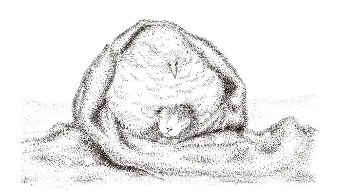 Прозрачный силиконовый штамп для мыши/печать скрапбукинга своими